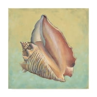 Трговска марка ликовна уметност „песок и морско розово“ платно уметност од визија студио