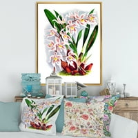 DesignArt 'Бела гроздобер орхидеја цвет II' Традиционална врамена платно wallидна уметност печатење