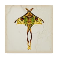 Заштитена марка ликовна уметност „Студија за пеперутка I“ платно уметност од Мелиса Ванг