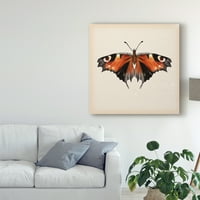 Трговска марка ликовна уметност „Студија за пеперутка v“ платно уметност од Мелиса Ванг