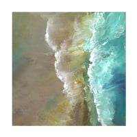 Шила Финч „Аериски брег III“ платно уметност