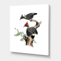 Дизајн на „Антички птици во дивината VI“ традиционална печатење на wallидови од платно